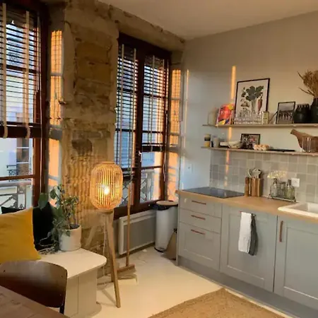 Apartamento Loft Lumineux Centre Avec Vue Panoramique Lyon